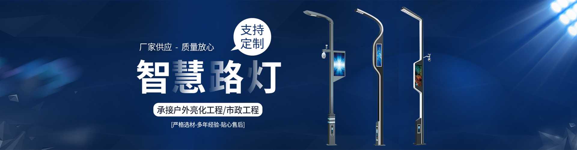 周口市太阳能路灯定制厂家